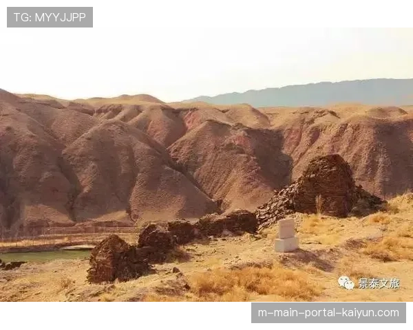 福建晋江文旅攻防稳定 皮特森42分展核心体系价值